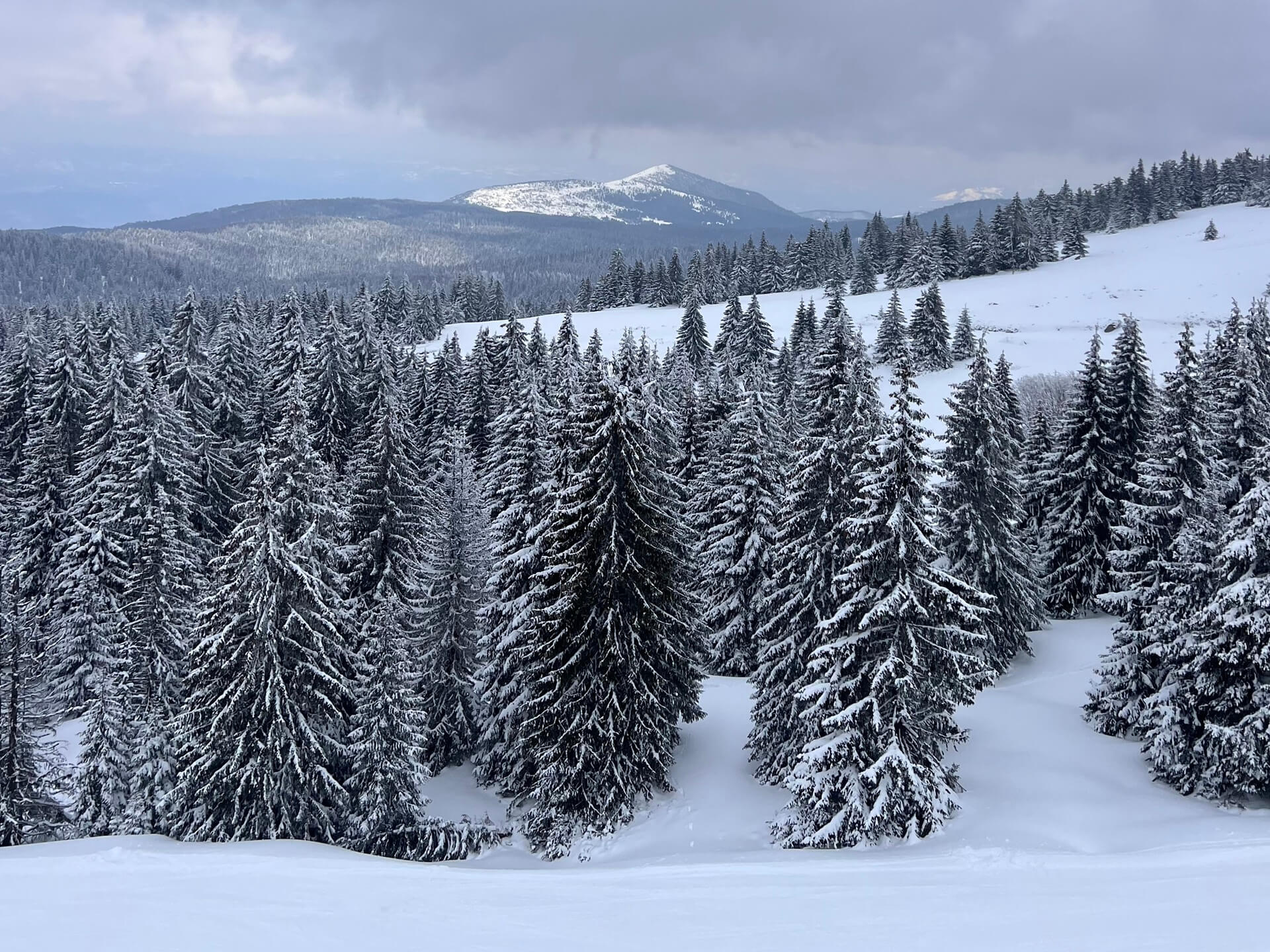 Oseti atmosferu. Ovo možeš biti ti.